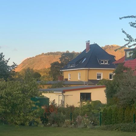 Ferienwohnung Bleicherode Экстерьер фото