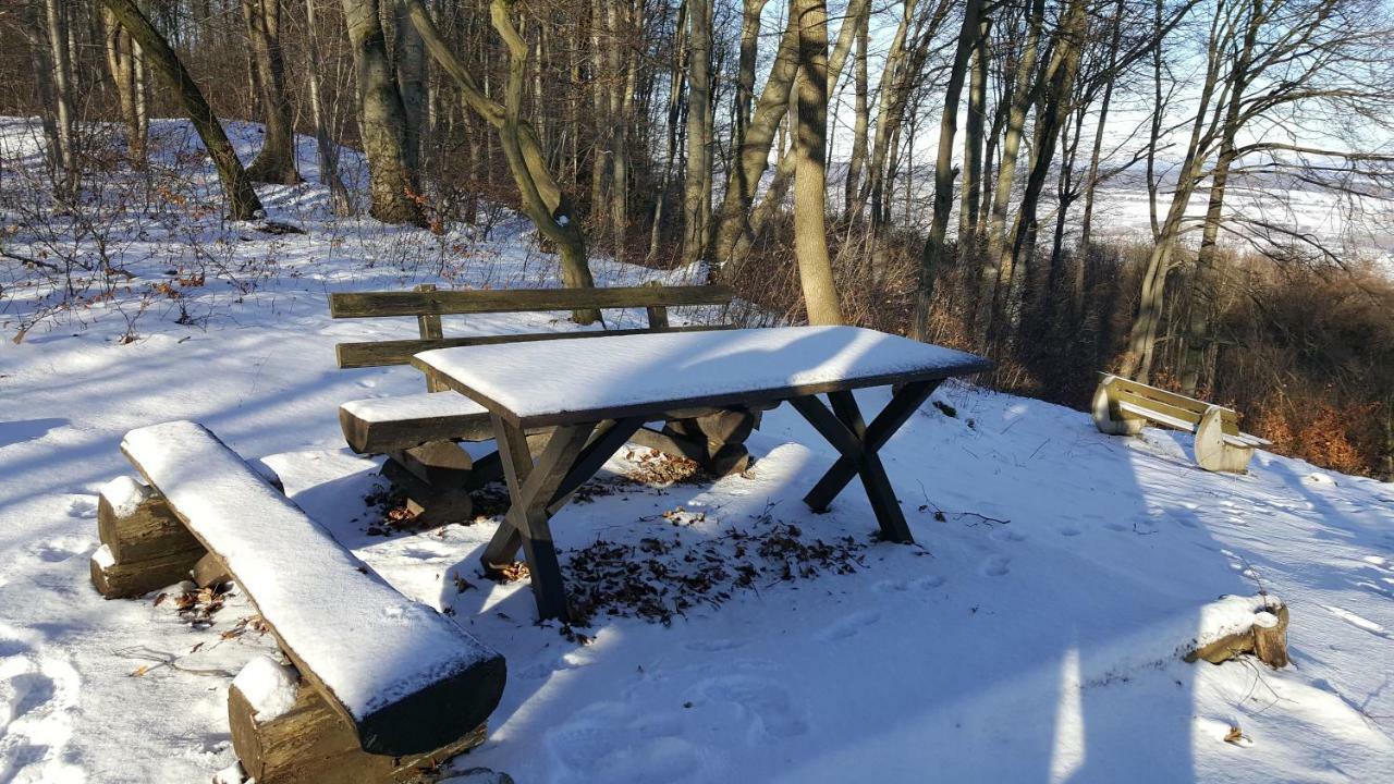 Ferienwohnung Bleicherode Экстерьер фото